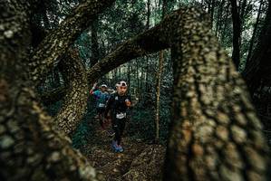 BIB: 
                            <button type="button" onclick="openModal(25676102)" class="btn btn-primary btn-sm float-right btn-popup" data-toggle="modal" data-target=".modal-high-quality">
                        <i class="fas fa-shopping-cart"></i> Add to Cart
                    </button>
                                            <button type="button" onclick="isThisMe(25676102, true)" class="btn btn-success btn-sm float-right btn-popup btn-isme hidden" data-toggle="tooltip" data-placement="bottom" title="นี่คือรูปของคุณใช่ไหม คลิกที่นี่เพื่อเอาเข้าอัลบั้ม">
                        <i class="fas fa-plus"></i> Add to album
                    </button>
                    <button type="button" onclick="isThisMe(25676102, false)" class="btn btn-warning btn-sm float-right btn-popup btn-isnotme hidden">
                        <i class="fas fa-ban"></i> Remove from album
                    </button>